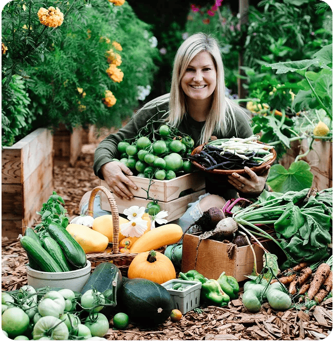 Apple Plant - Image 3